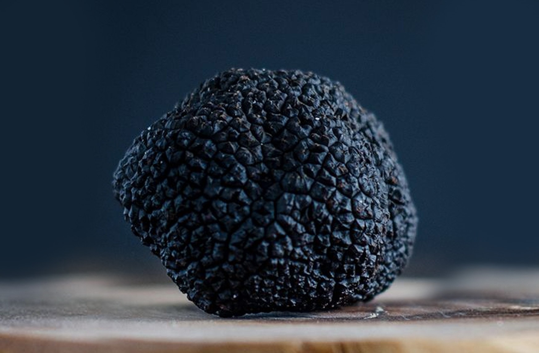 Descubre el Elixir de la Gastronomía: La Trufa Negra