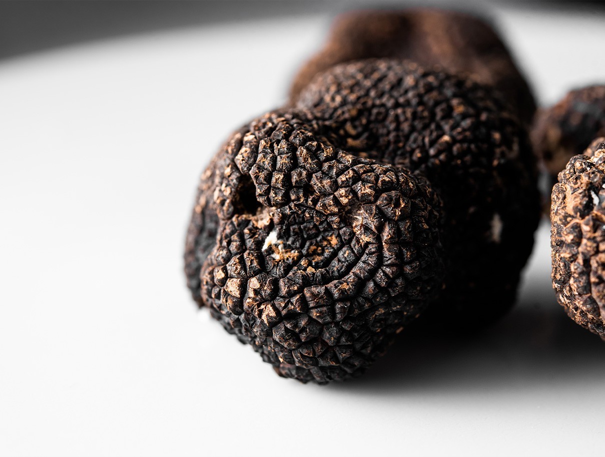 El Misterioso mundo de las trufas: Un tesoro gastronómico bajo tierra