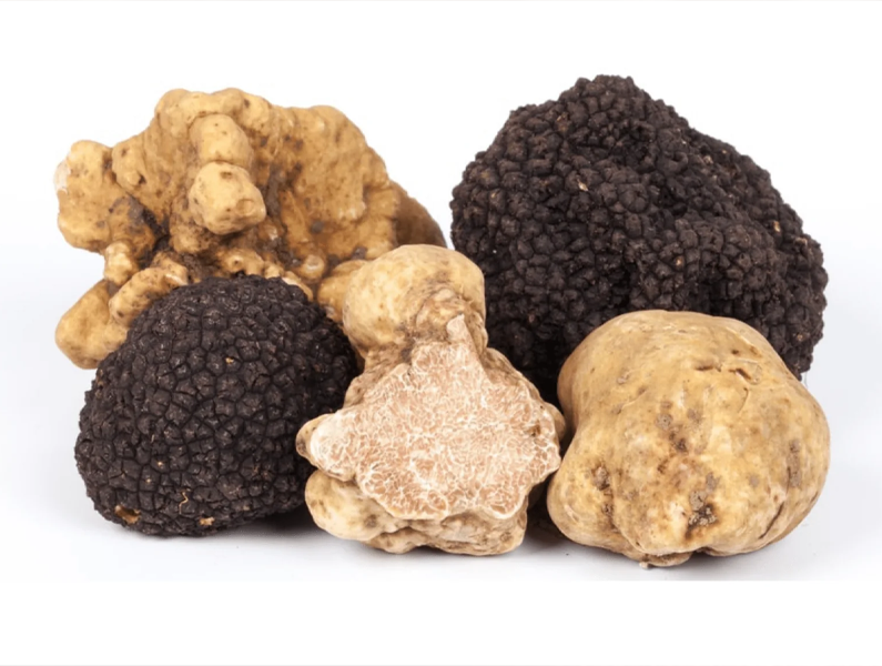 Cómo diferenciar entre la trufa verdadera y los sucedáneos: Guía para el consumidor