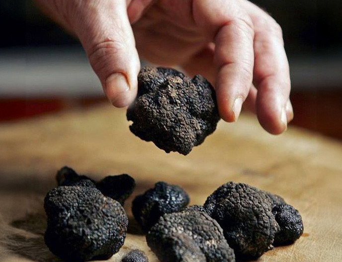 Por qué los chefs más reconocidos del mundo apuestan por la trufa negra