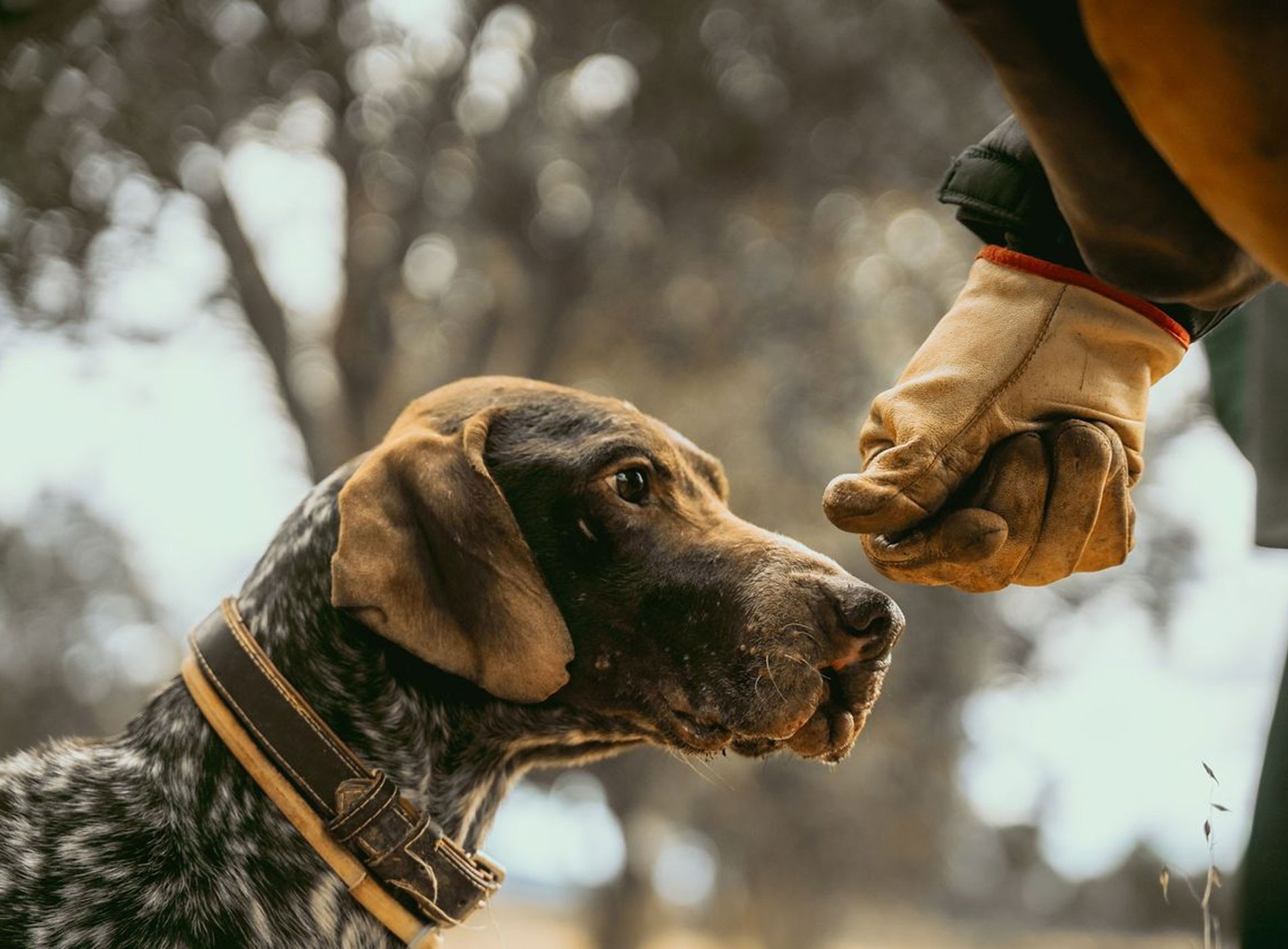 Trufiturismo con Truffal: una experiencia sensorial en el corazón de la naturaleza